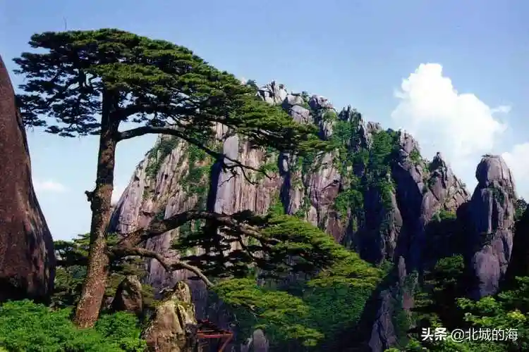 中华十大名山,你爬过几座?最想爬哪一座?