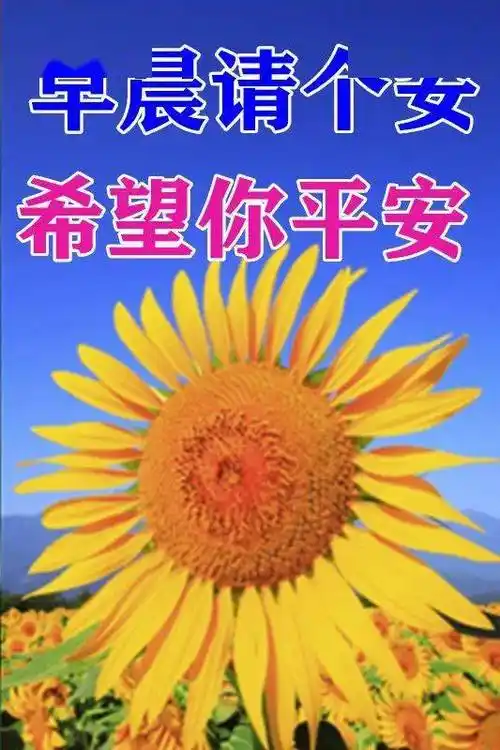 9,生活真谛:一份真心诚意,二分天真纯洁,三分健康快乐,四分宽容忍让