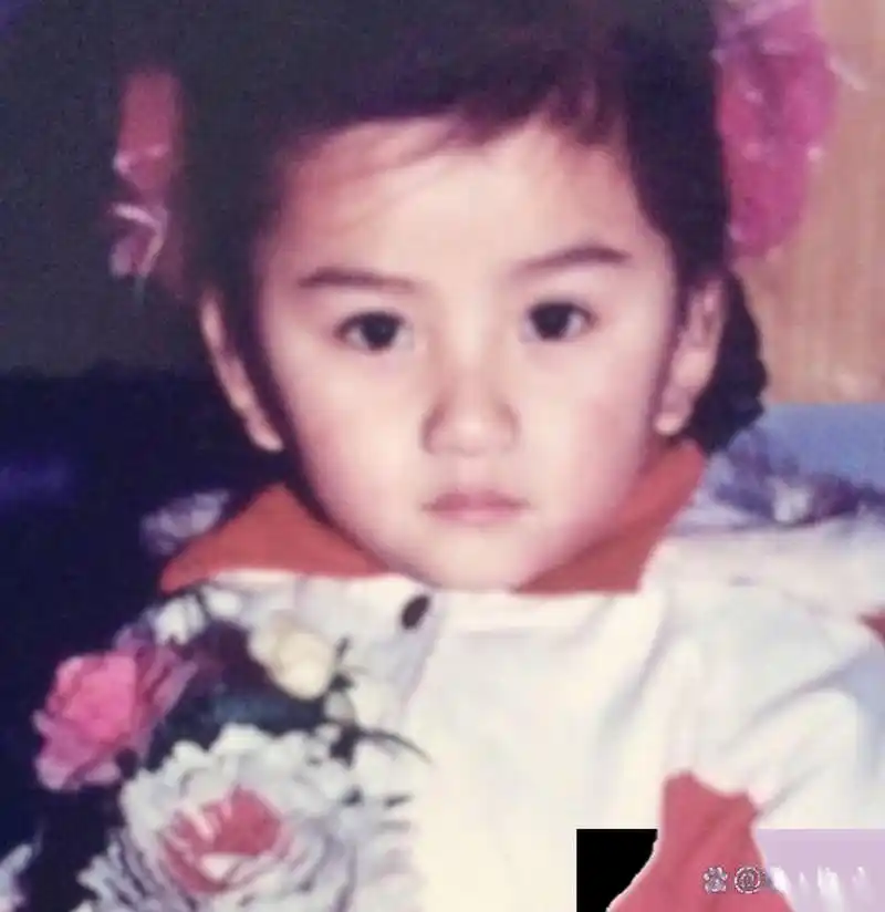 赵丽颖小时候很可爱,从小美到大的典型,不过的成长很励志.