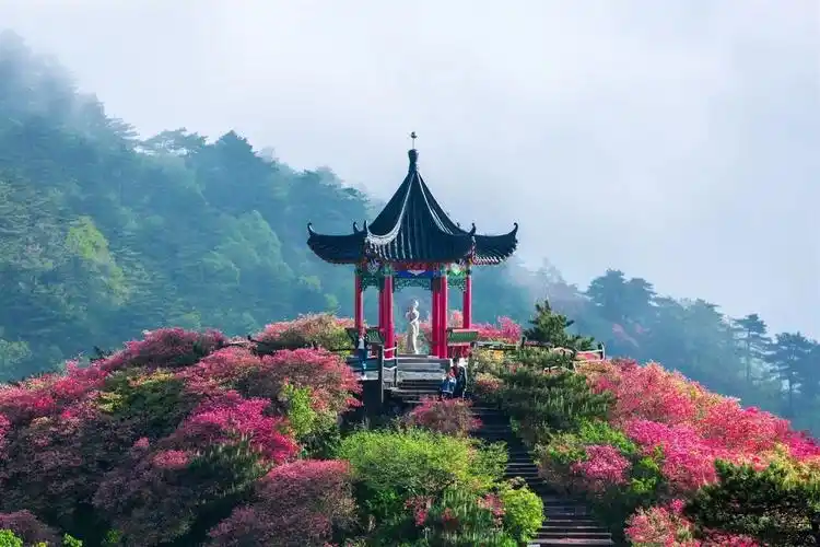 除夕到,祝福到!龟峰山景区给您拜年啦!