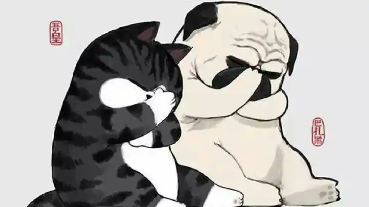 我就这样,看不惯的别看,不喜欢的远离,我活着,不是为了让你顺眼的