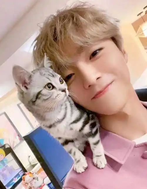 原创蔡徐坤学猫叫表情真逗陈立农晒和猫咪自拍爱猫男孩你pick哪个