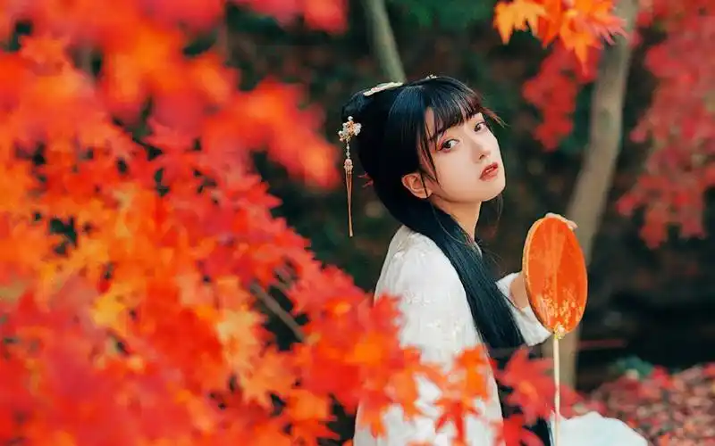 冷艳古风美女枫叶林写真图片壁纸