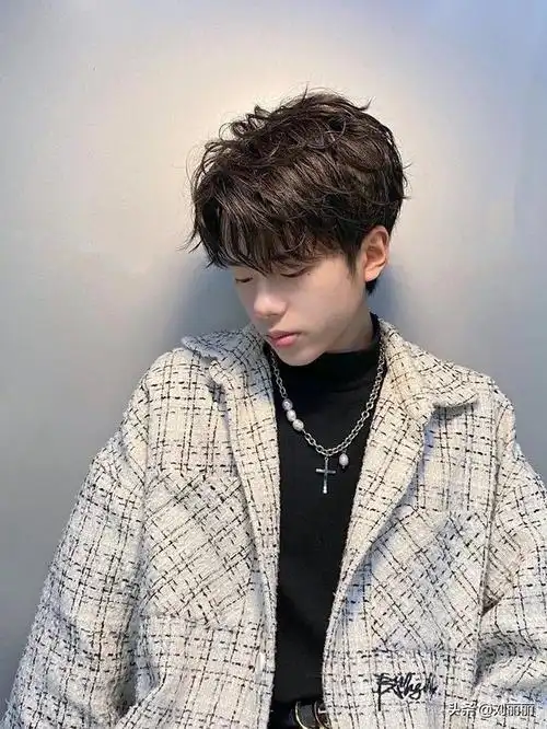 男生纹理烫发型图蓬松(男生纹理烫发型图)-天晟网