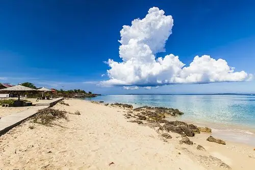 美图欣赏 >作品展示 帝汶海岸 (0)(0 )