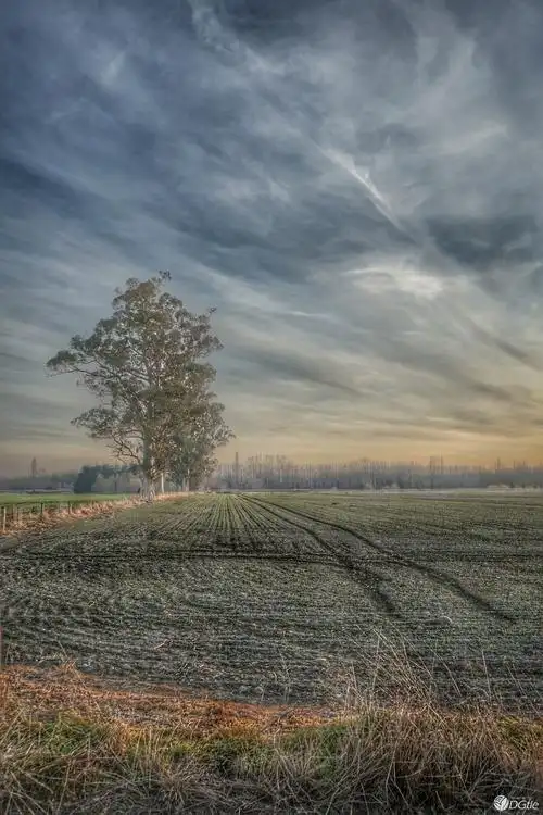 索尼a7m2,一个人安静的一天