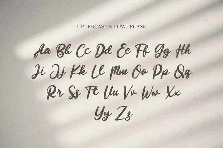 风格beautystella–精致可爱手写英文字体下载圆体书法圆润花式线条