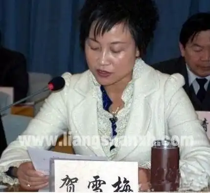 四川省凉山州西昌市市长李俊和西昌市市委副书记贺雪