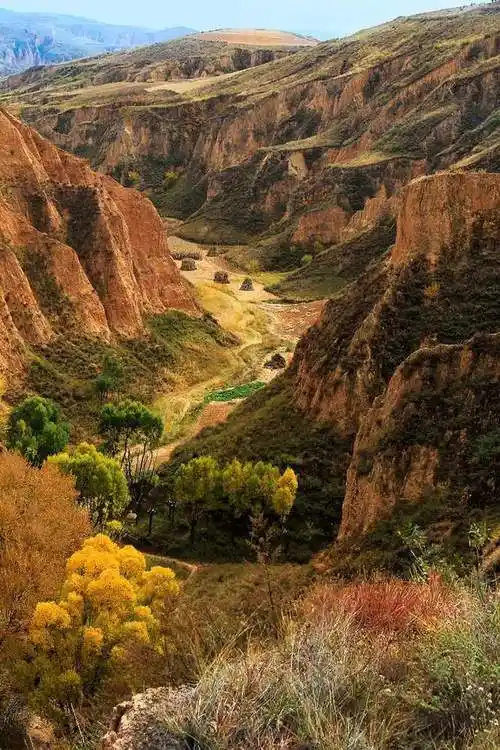 入目皆为画,神奇麻黄梁,一幅隐世的绝美黄土高原画卷!|沙漠_网易订阅