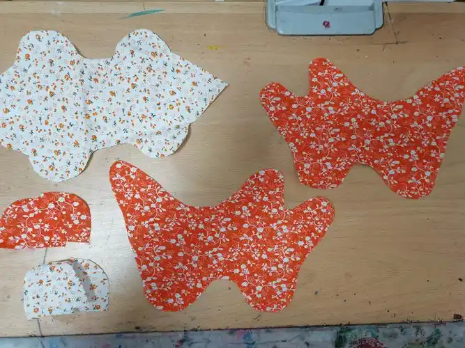 我的鲁能橙布老虎