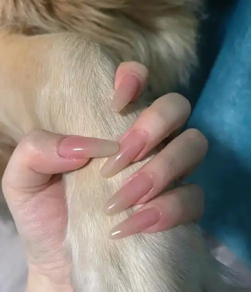 是我爱的长款尖美甲纯欲裸色系