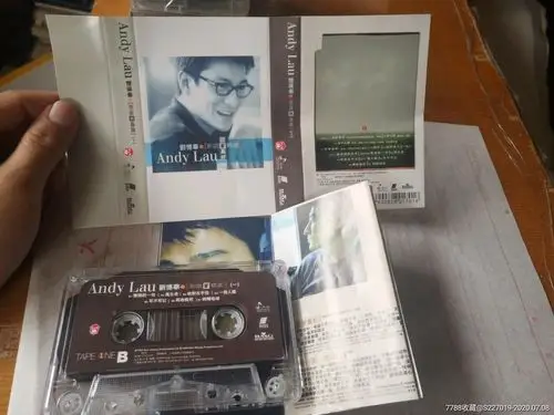 刘德华,新曲 精选,回家真好