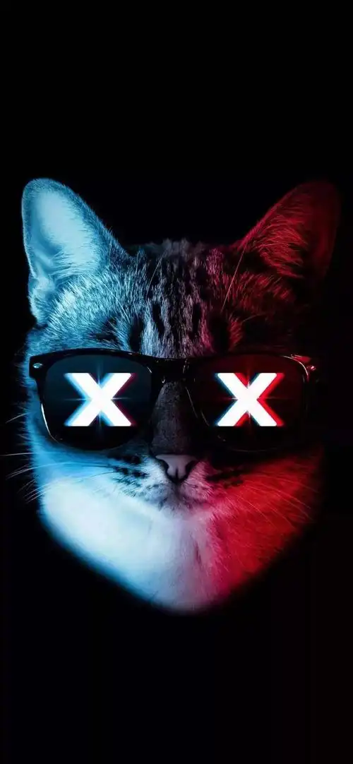 iphone xr 壁纸 | 想我就抱抱空气吧,毕竟可爱的我无处不在