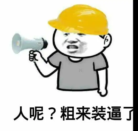 人呢粗来装逼了表情包大全斗图表情