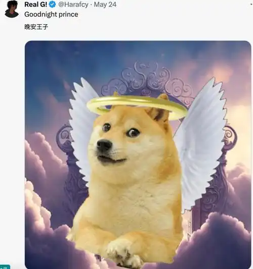 全世界最知名的狗子去世,它留下的可不只是表情包|柴犬|狗狗|狗头