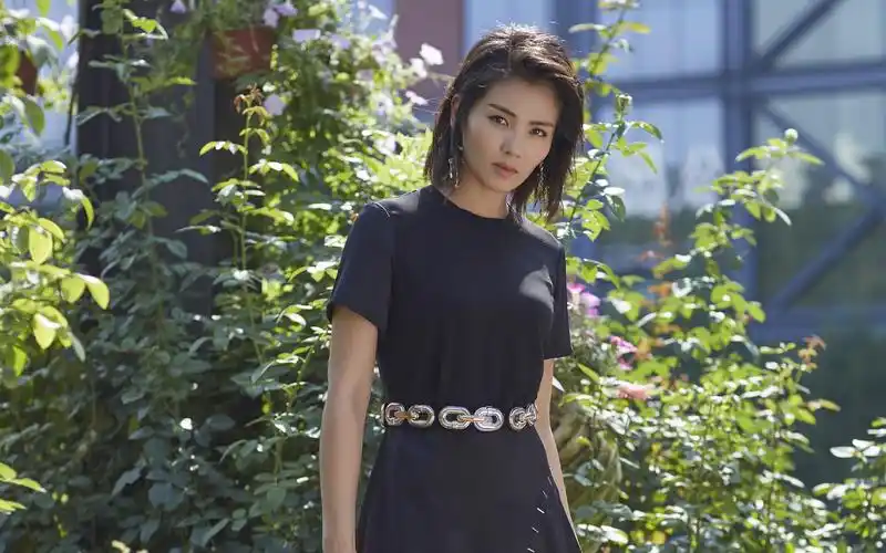 刘涛时尚气质唯美写真图片桌面壁纸