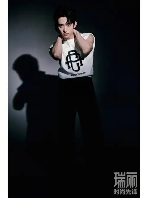 anodecathode常华森