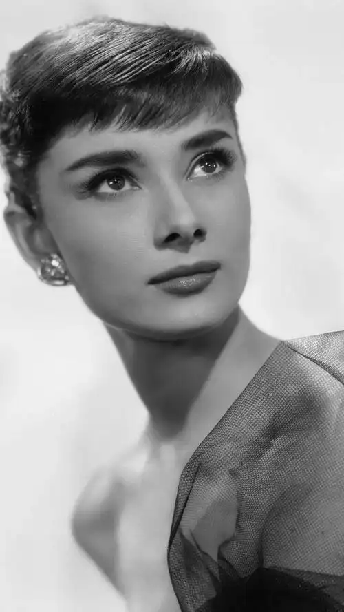 奥黛丽·赫本经典电影《罗马假日》手机壁纸_风里