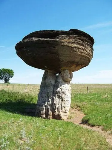 【引用】目前世界上最奇特最牛的石头