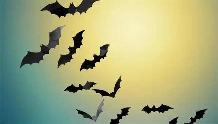 梦见蝙蝠成群满天飞