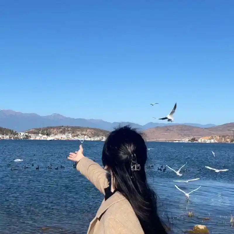 气质高冷背影图片女 集美们96,今天给大家分享一组气质高冷的背影