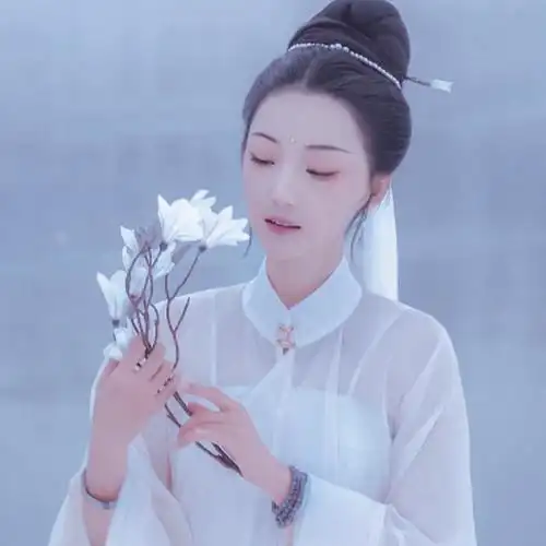 "万千心绪不解,风月缄默不言 ."古风/汉服/女生头像