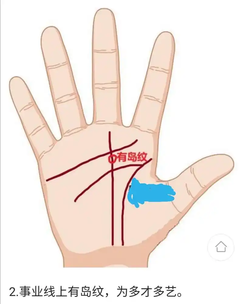 有这五种事业线的人,一辈子不愁米.注定和财富有缘#掌纹的秘密 - 抖音