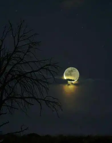 哪一篇关于月亮的诗或文段最打动你?