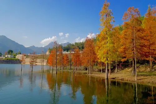 爱上长潭水库的那一抹红.