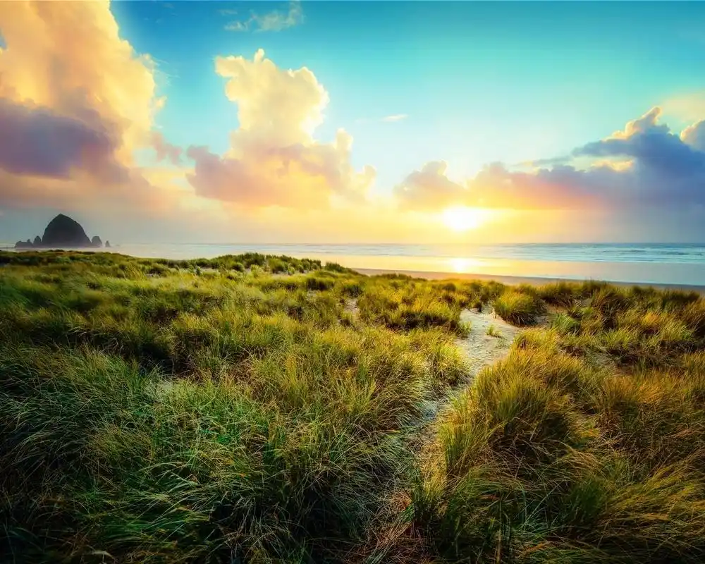 清新早晨唯美日出自然风光美景高清桌面壁纸图片大全-风景壁纸-手机