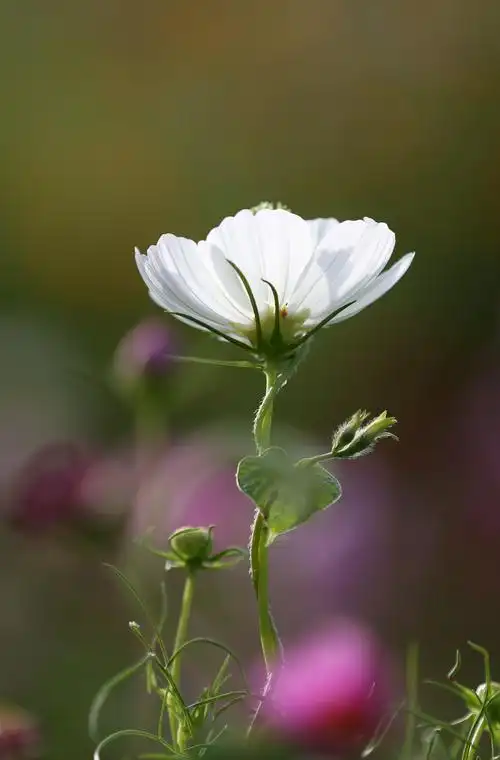 人在旅途,风景无处不在