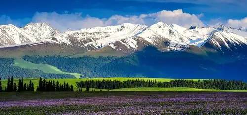 "魅力新疆"之二——寻香伊犁河谷:苹果姐姐拍摄制作