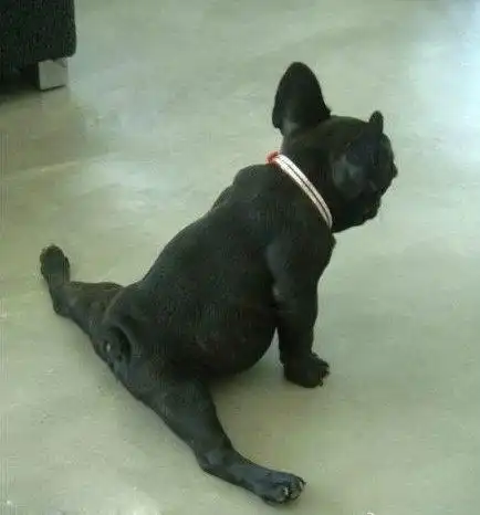 marijuana的几种词源说法