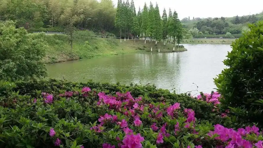 宜兴龙背山公园