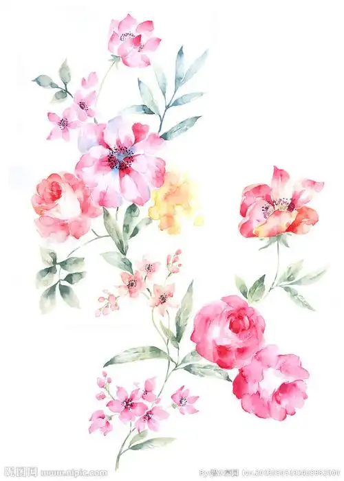 手绘花卉图片