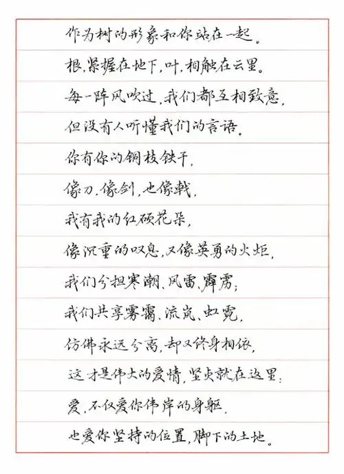 舒婷《致橡树》钢笔字笔友习作欣赏