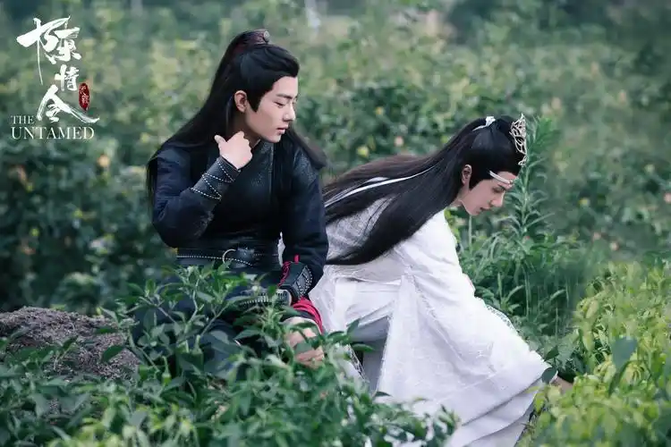 博君一肖 - 堆糖,美图壁纸兴趣社区