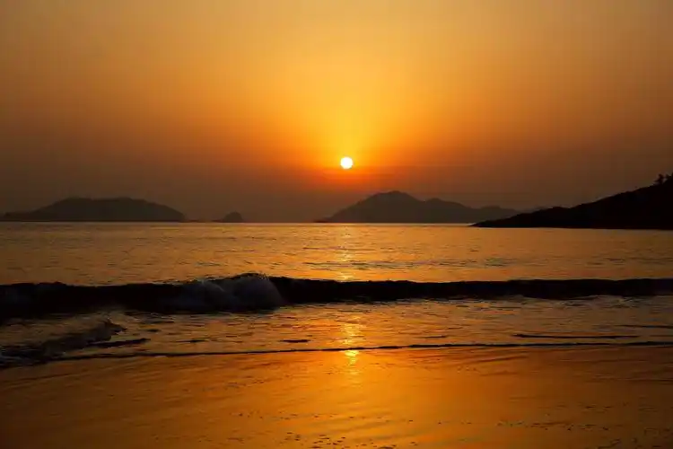 wk4,jan 2020~唯美自然风光&花鸟&画意精品影展专辑