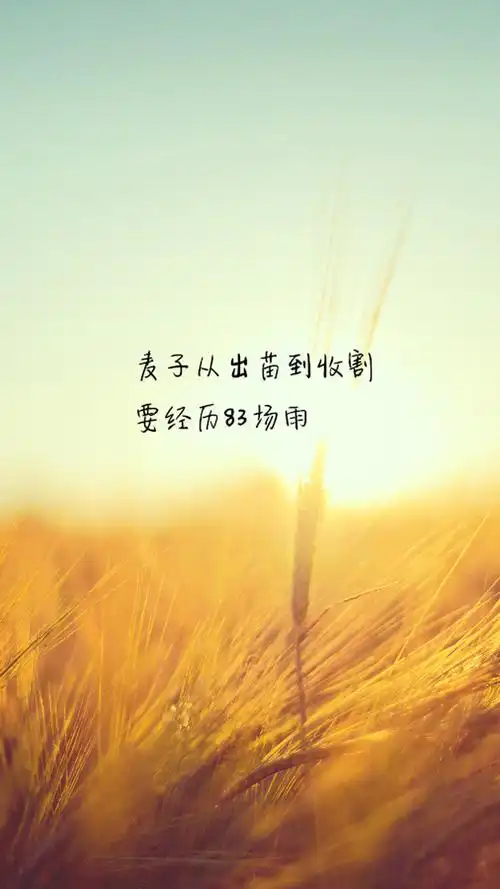 清新治愈系励志文字语录图片手机壁纸