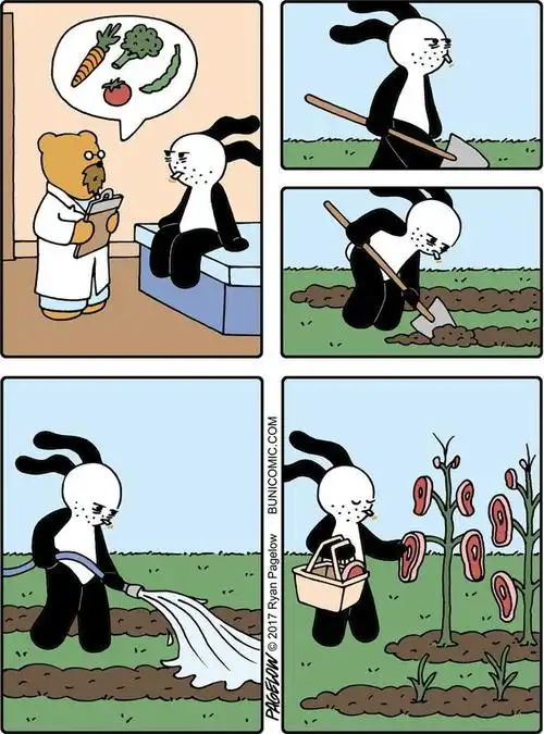 20幅搞笑漫画这只黑耳兔子治愈你的不开心