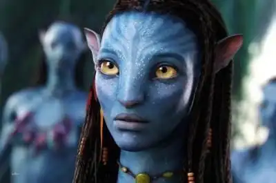 根据肤色划分,人分为黄种人,白种人,黑种人,棕种人四种,其中黄种人那