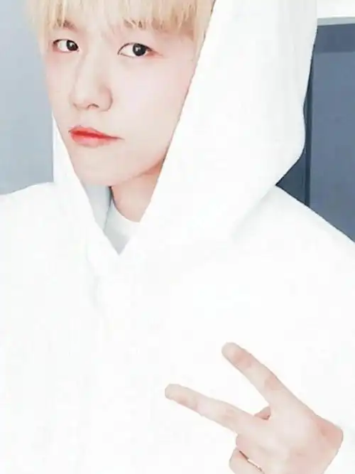 女友视角之边伯贤