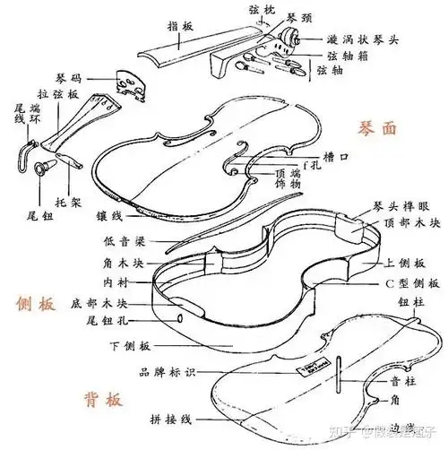 维罗尼卡教你如何挑选小提琴 - 知乎