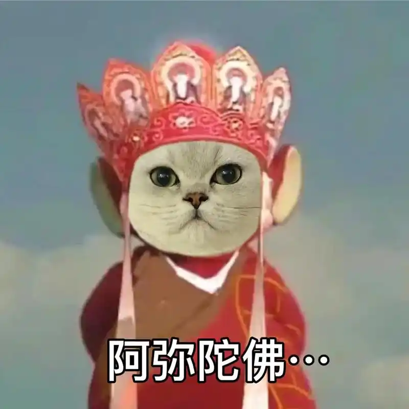 猫咪表情包 #搞笑 西游 - 抖音