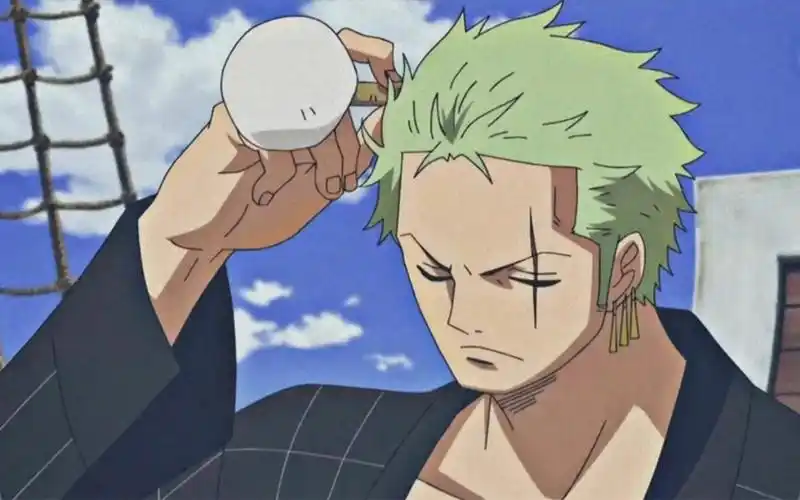 海贼王 受尽苦难而不厌 此乃修罗之道 罗罗诺亚·索隆-努力的小菜yy