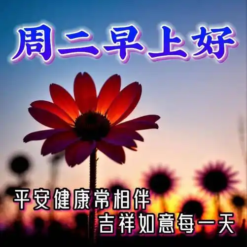 周二早上好,最新版漂亮周二早安祝福语表情图片大全问候语段句子_阳光