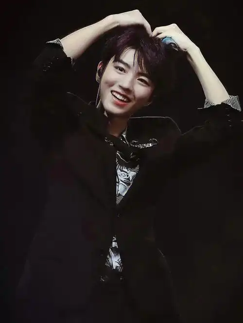 每人一句王俊凯的应援口号不过分吧