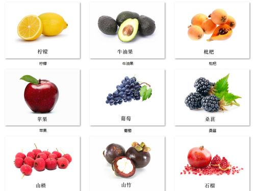 基础认知水果卡片早期干预自闭症孤独症儿童康复训练掌柜推荐