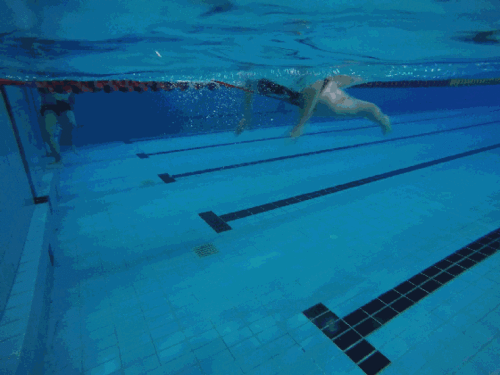 [蝶泳教程]蝶泳技术分享,对你肯定有帮助!