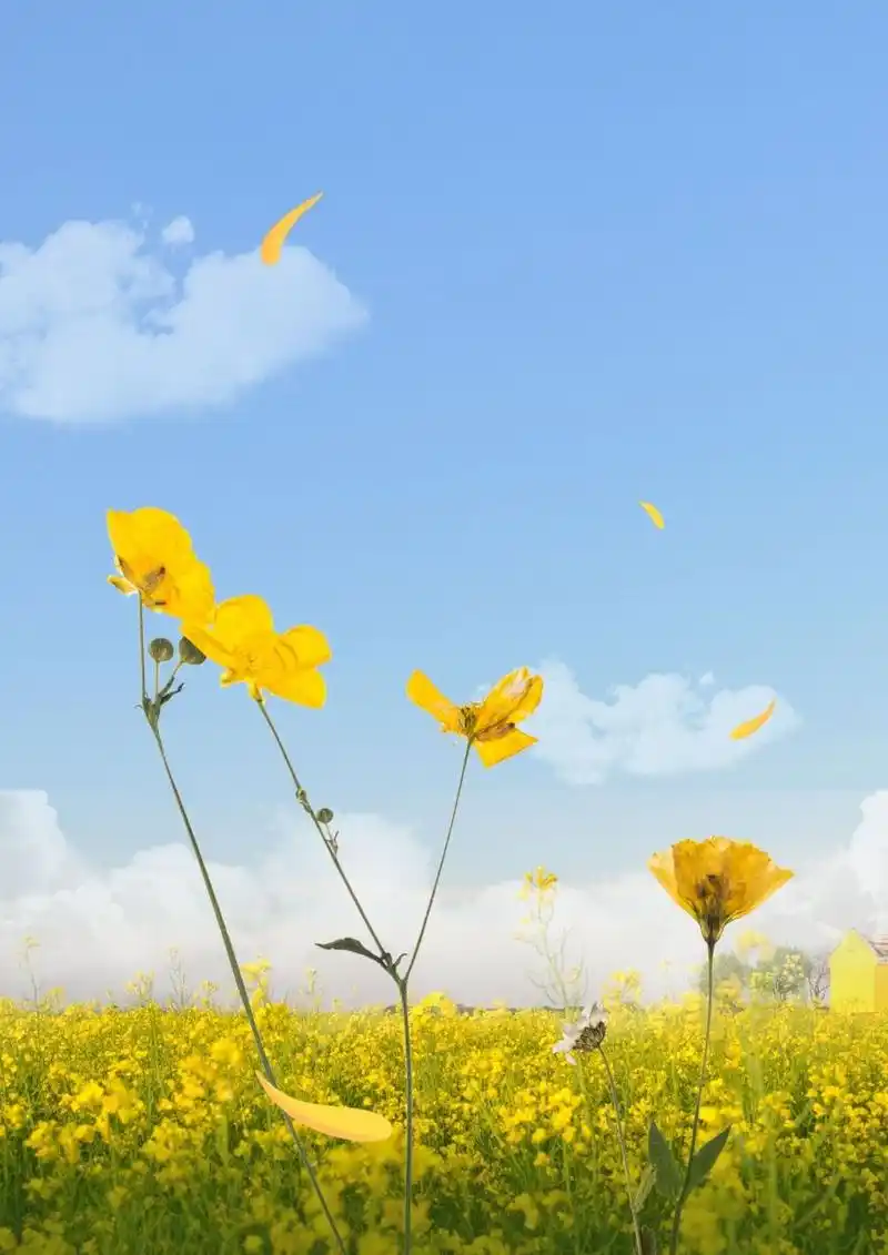 三月的图片02唯美  三月春风拂面来,愿你心中花盛开,生活美满乐悠悠